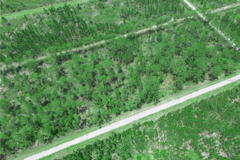 Land in Indian lake estates, Florida № 2202445 - photo 10