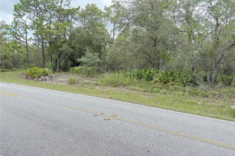 Land in Weeki Wachee, Florida № 1819226 - photo 1