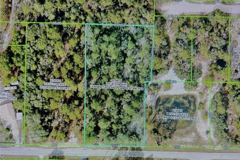 Land in Weeki Wachee, Florida № 1819226 - photo 3