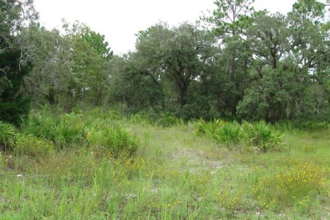 Land in Weeki Wachee, Florida № 1819226 - photo 6