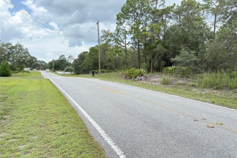 Land in Weeki Wachee, Florida № 1819226 - photo 2