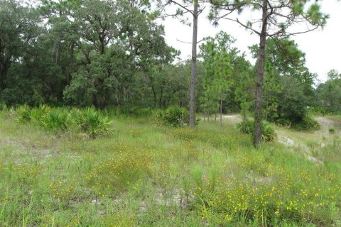 Land in Weeki Wachee, Florida № 1819226 - photo 7