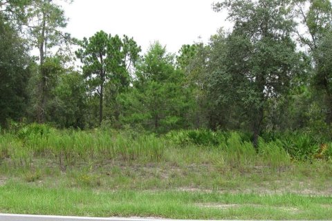 Land in Weeki Wachee, Florida № 1819226 - photo 5