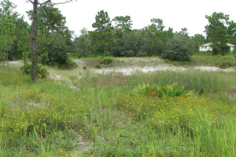 Land in Weeki Wachee, Florida № 1819226 - photo 4