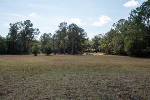 Villa ou maison à vendre à Melrose, Floride: 3 chambres, 200.48 m2 № 2124631 - photo 21