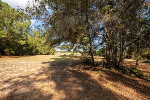Villa ou maison à vendre à Melrose, Floride: 3 chambres, 200.48 m2 № 2124631 - photo 19