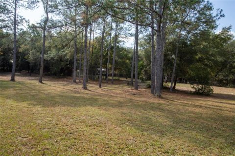 Villa ou maison à vendre à Melrose, Floride: 3 chambres, 200.48 m2 № 2124631 - photo 23