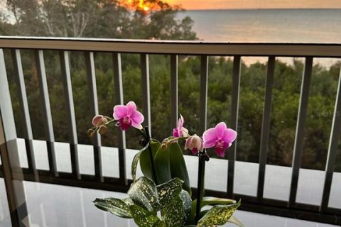 Condo in Punta Gorda, Florida, 2 bedrooms  № 1417412 - photo 3