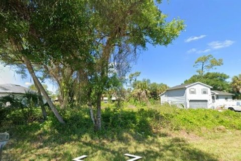 Land in Port Charlotte, Florida № 2258656