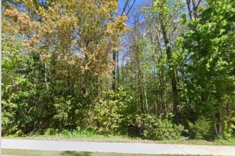 Terreno en venta en Jacksonville, Florida № 2096022 - foto 8