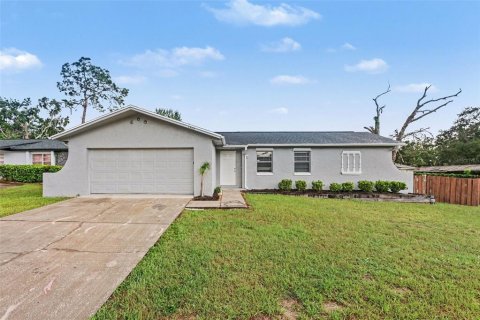 House in Brandon, Florida 4 bedrooms, 146.14 sq.m. № 2339041