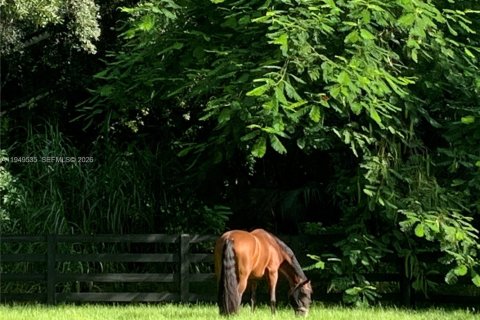 Propiedad comercial en venta en Loxahatchee Groves, Florida № 2004943 - foto 29