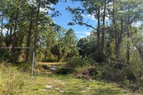 Купить коммерческую недвижимость в Клуистон, Флорида № 2035718 - фото 2