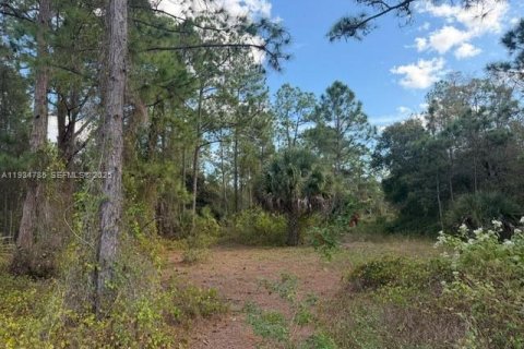 Купить коммерческую недвижимость в Клуистон, Флорида № 2035718 - фото 5