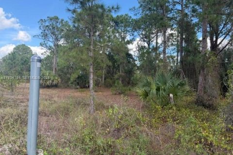 Купить коммерческую недвижимость в Клуистон, Флорида № 2035718 - фото 4