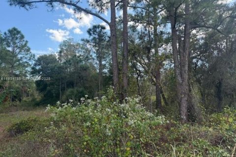 Купить коммерческую недвижимость в Клуистон, Флорида № 2035718 - фото 8