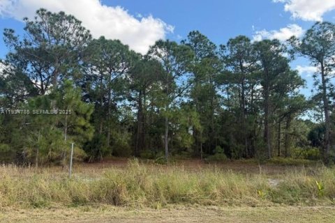 Купить коммерческую недвижимость в Клуистон, Флорида № 2035718 - фото 7