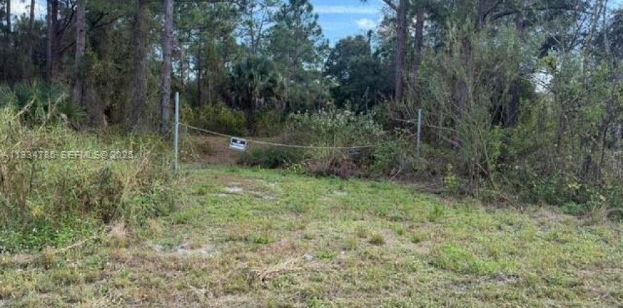 Коммерческая недвижимость в Клуистон, Флорида № 2035718