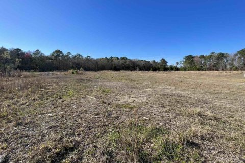 Commercial property in Jacksonville, Florida № 766266 - photo 1