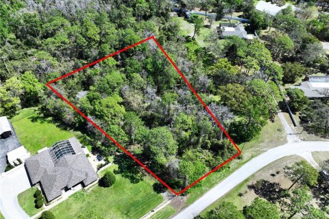 Land in New Port Richey, Florida № 1574664 - photo 1