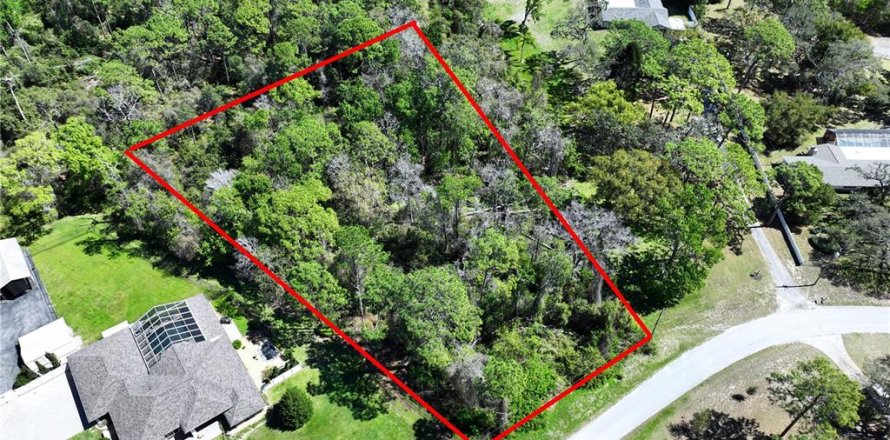 Land in New Port Richey, Florida № 1574664