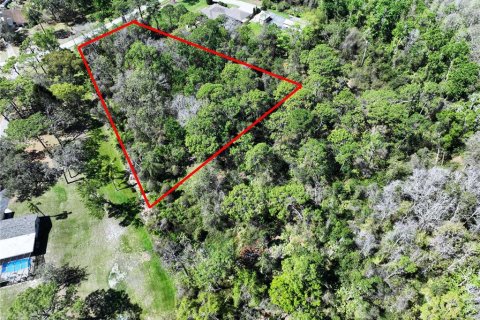 Land in New Port Richey, Florida № 1574664 - photo 3