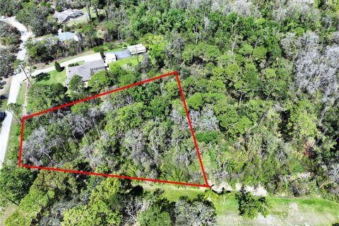 Land in New Port Richey, Florida № 1574664 - photo 4