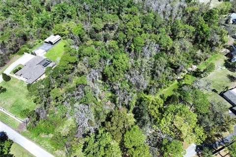 Land in New Port Richey, Florida № 1574664 - photo 5