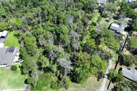 Land in New Port Richey, Florida № 1574664 - photo 6