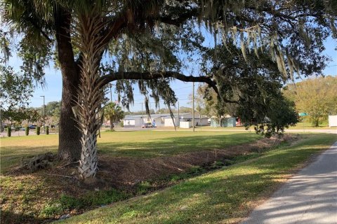 Immobilier commercial à vendre à Riverview, Floride: 242.94 m2 № 233286 - photo 9
