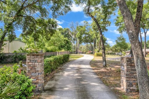 Villa ou maison à vendre à DeLand, Floride: 5 chambres, 253.34 m2 № 2223586 - photo 3