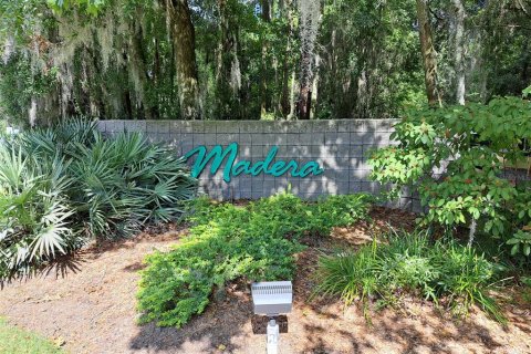 Terreno en venta en Gainesville, Florida № 1396345 - foto 8