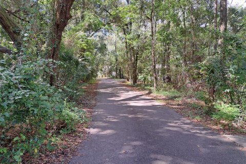 Terreno en venta en Gainesville, Florida № 1396345 - foto 6