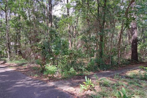 Terreno en venta en Gainesville, Florida № 1396345 - foto 5