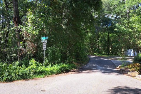 Terreno en venta en Gainesville, Florida № 1396345 - foto 4
