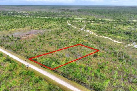 Land in Indian lake estates, Florida № 2163633 - photo 4