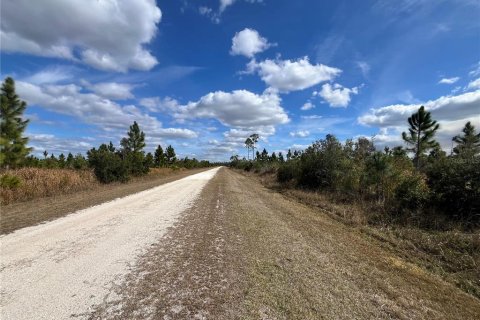 Land in Indian lake estates, Florida № 2163633 - photo 8
