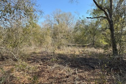 Terreno en venta en Lake Wales, Florida № 2205726 - foto 16