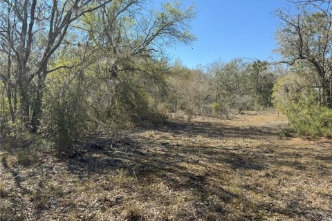 Terreno en venta en Lake Wales, Florida № 2205726 - foto 14