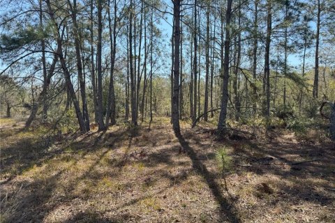 Terreno en venta en Lake Wales, Florida № 2205726 - foto 10