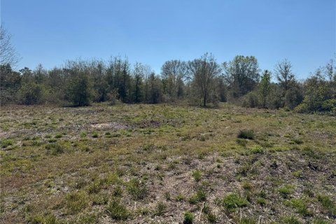 Terreno en venta en Lake Wales, Florida № 2205726 - foto 7