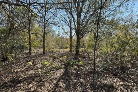 Terreno en venta en Lake Wales, Florida № 2205726 - foto 18