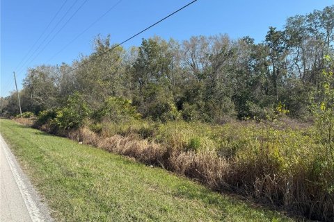 Terreno en Lake Wales, Florida № 2205726