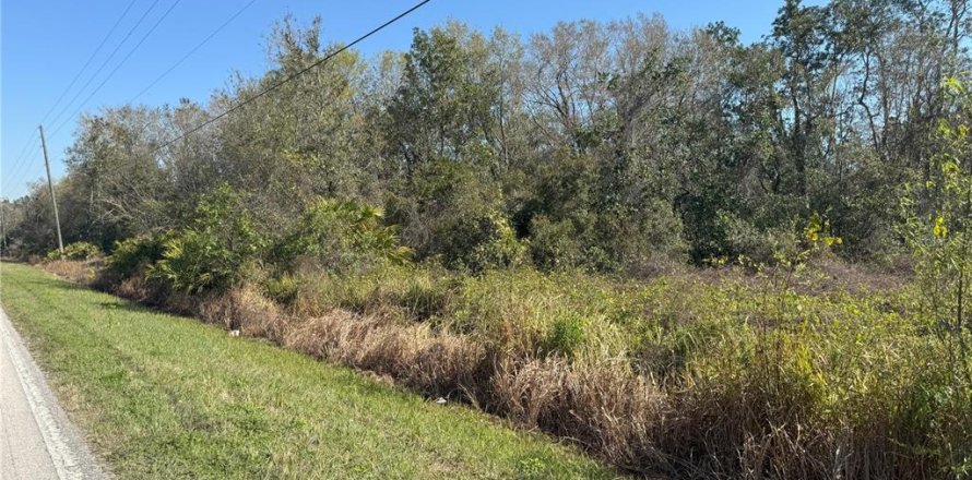 Terreno en Lake Wales, Florida № 2205726