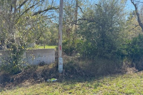 Terreno en venta en Lake Wales, Florida № 2205726 - foto 20
