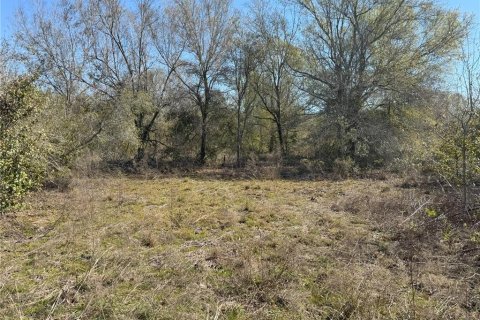 Terreno en venta en Lake Wales, Florida № 2205726 - foto 15