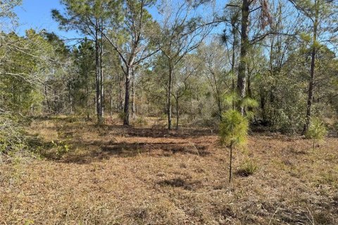 Terreno en venta en Lake Wales, Florida № 2205726 - foto 9