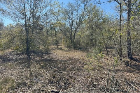 Terreno en venta en Lake Wales, Florida № 2205726 - foto 13