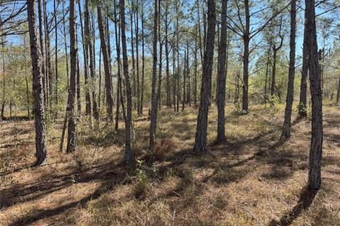 Terreno en venta en Lake Wales, Florida № 2205726 - foto 19