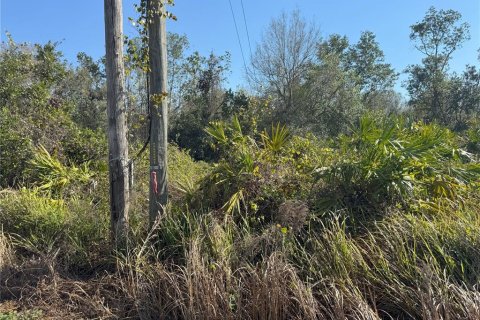 Terreno en venta en Lake Wales, Florida № 2205726 - foto 21